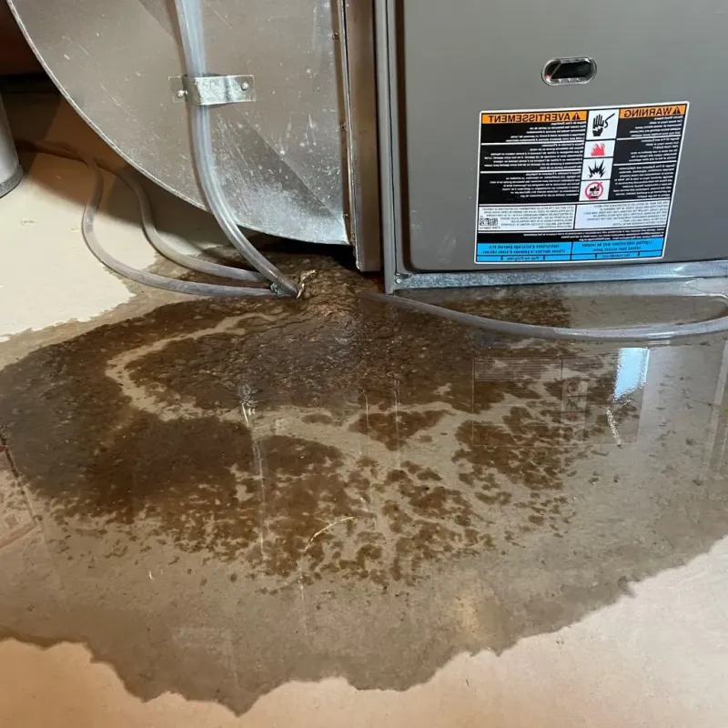 Pipe Burst and Leak Restoration in Anamosa, IA