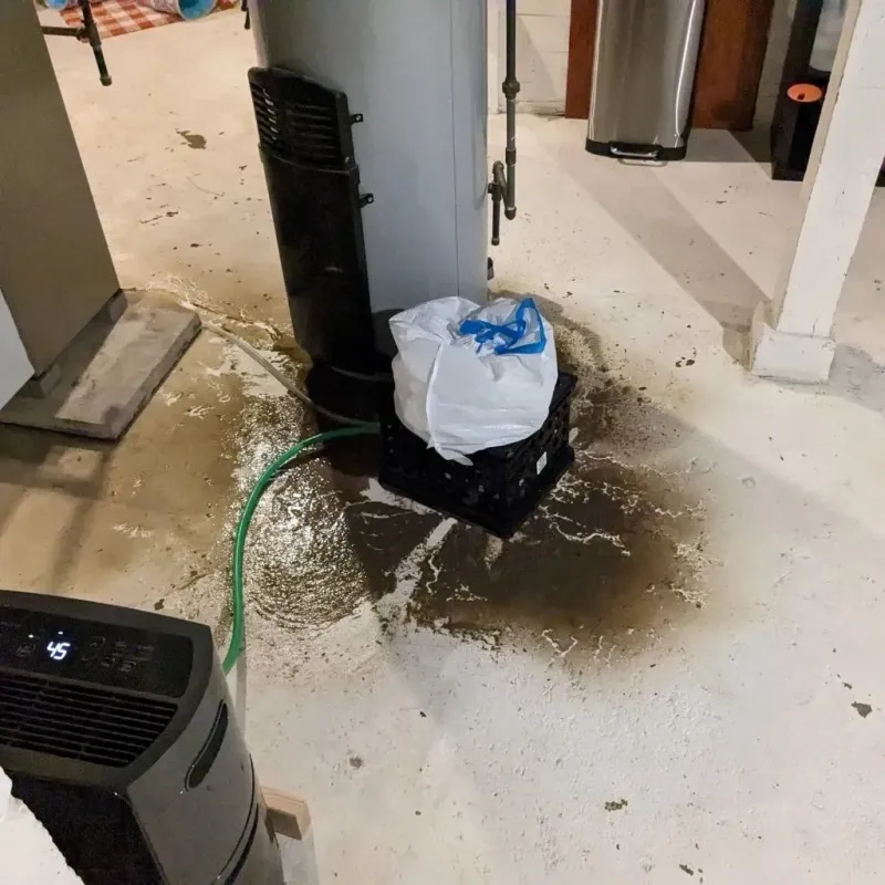 Sewage Backup Cleanup Service in Anamosa, IA
